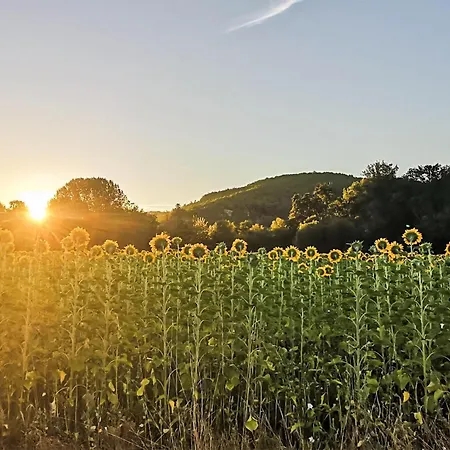 度假居 Charmante Maison Avec Piscine Monsac