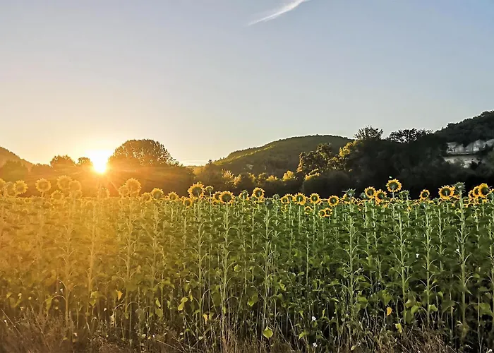 Hébergement de vacances Charmante Maison Avec Piscine Monsac